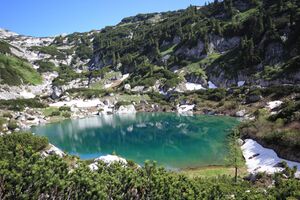 Dreibrüdersee 77431 2018-06-04.jpg