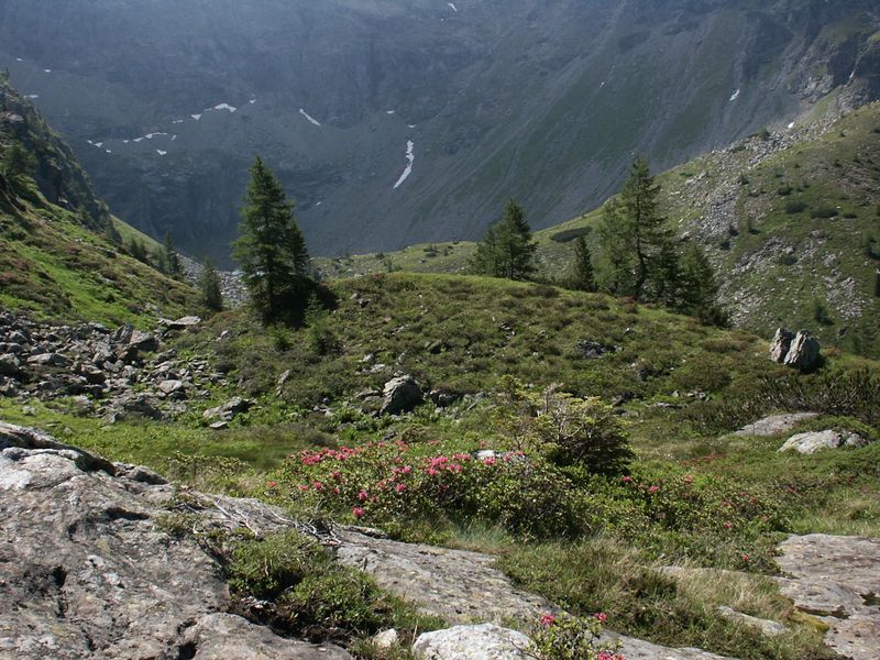 Datei:Eiskar 3612 2005-07-04.JPG