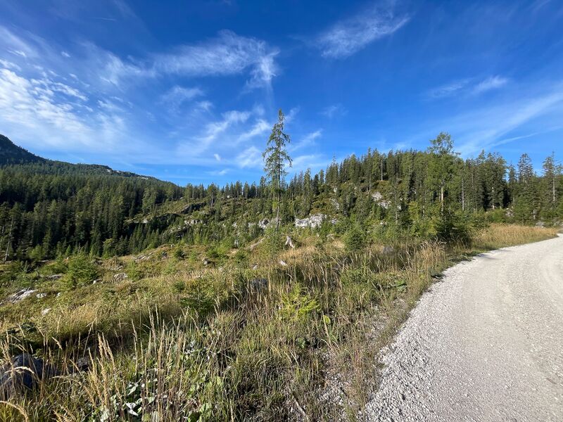 Datei:Elendwald bad aussee-15-2023-09-17.jpg