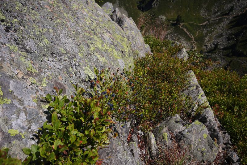 Datei:Gasselhöhe 36180 2011-08-26.jpg