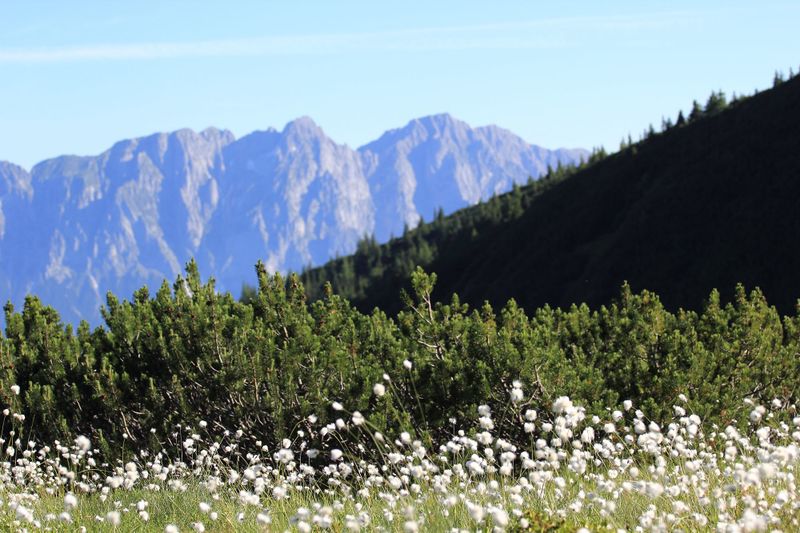 Datei:Gumpenkar 53230 2017-07-05.jpg