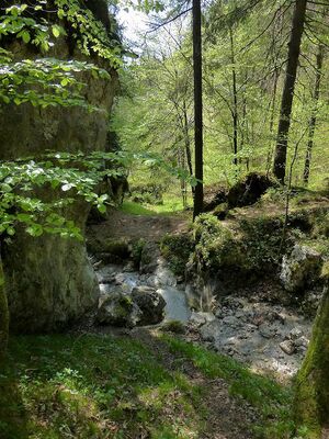 Mühlbach (Aicherlstein)80933.JPG