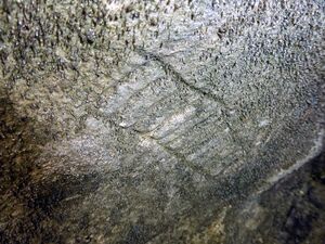 Notgasse 66750 2014-07-09.JPG