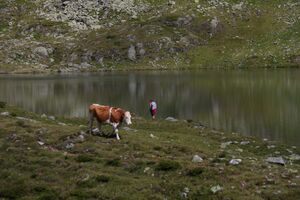 Oberer lanschitzsee 98079 2011-08-12.jpg