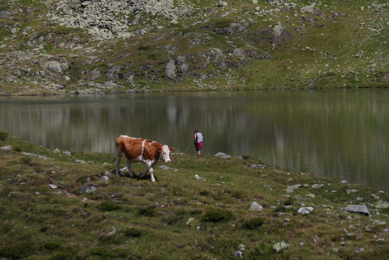 Datei:Oberer lanschitzsee 98079 2011-08-12.jpg