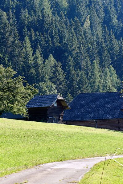 Datei:Perberhof michaelerberg Ost 38-0045-2023-08-14.jpg