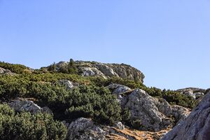 Soleitbühel 11911 2019-10-01.jpg