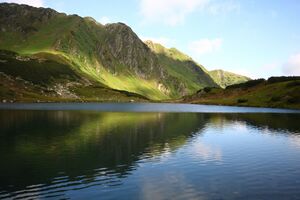 Untere riednersee 65381 2014-06-26.jpg