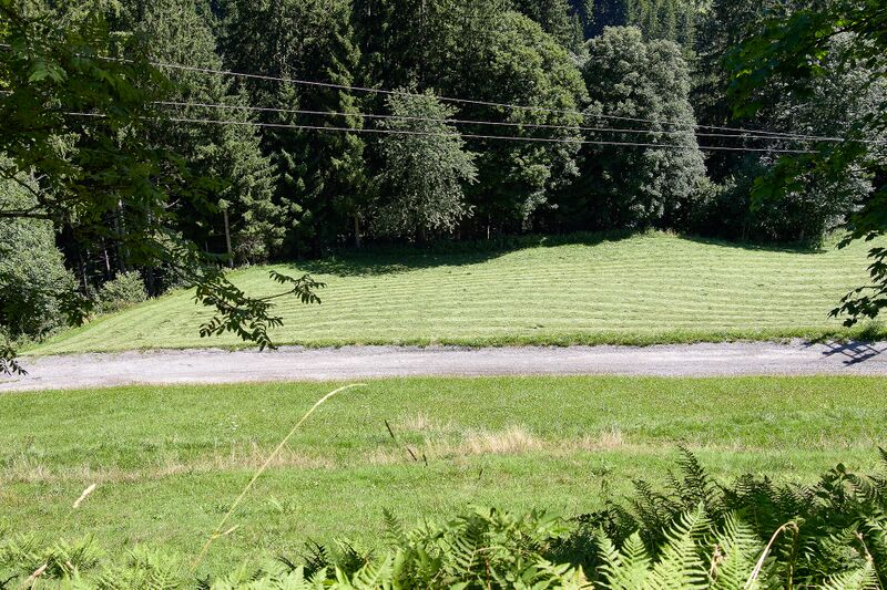 Datei:Vlg schröck schattenberg 48-0448-2023-08-11.jpg