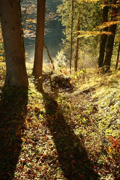 Datei:Ödensee 77974 2014-11-03.jpg