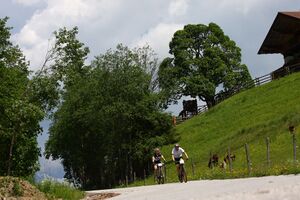 Alpentourtrophy 2014 60420 2014-06-12.jpg