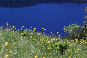 Altausseersee -graskogel 50755 2017-06-11.jpg