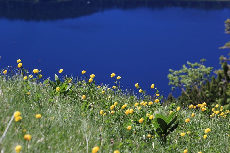 Datei:Altausseersee -graskogel 50755 2017-06-11.jpg