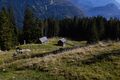 Ausseer sandlingalm-0112-2021-10-11.jpg