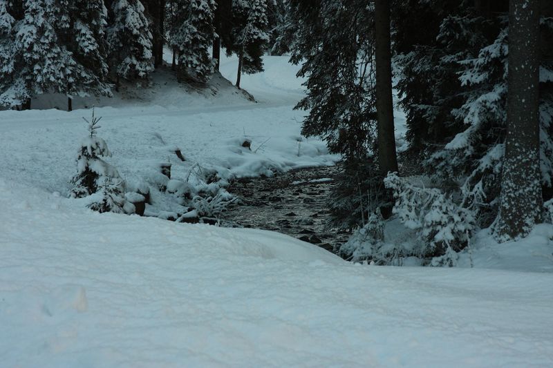 Datei:Bodenseerbach 26710 2014-01-01.jpg