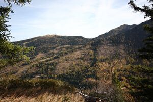 Gföhl 0311 2013-10-27.jpg