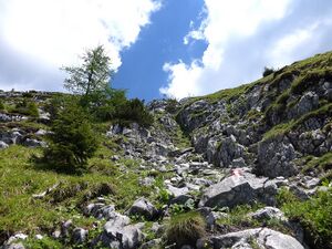 Großer Donnerkogel50188.JPG