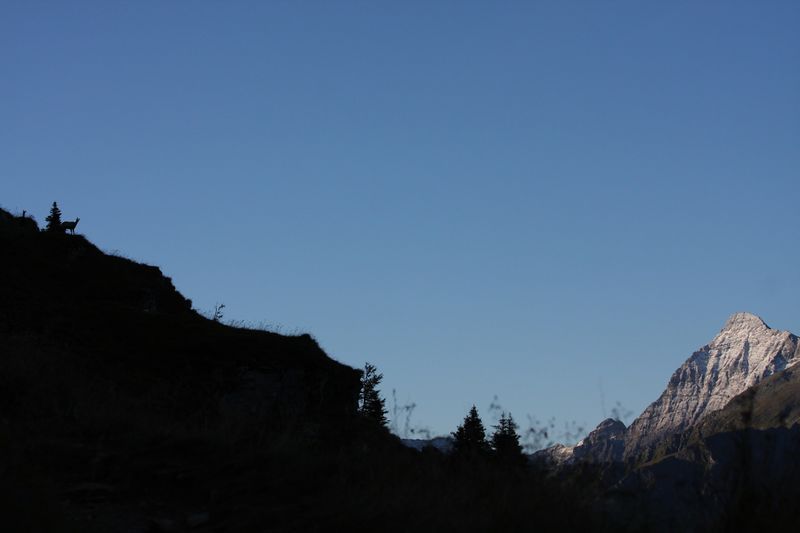 Datei:Hochgolling planaiHW 0620 2011-08-11.jpg