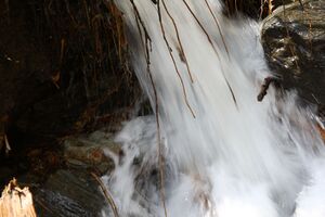 Hopfgartwsfbach 55150 2014-04-30.jpg