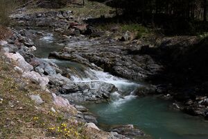 Kalte mandling020.jpg