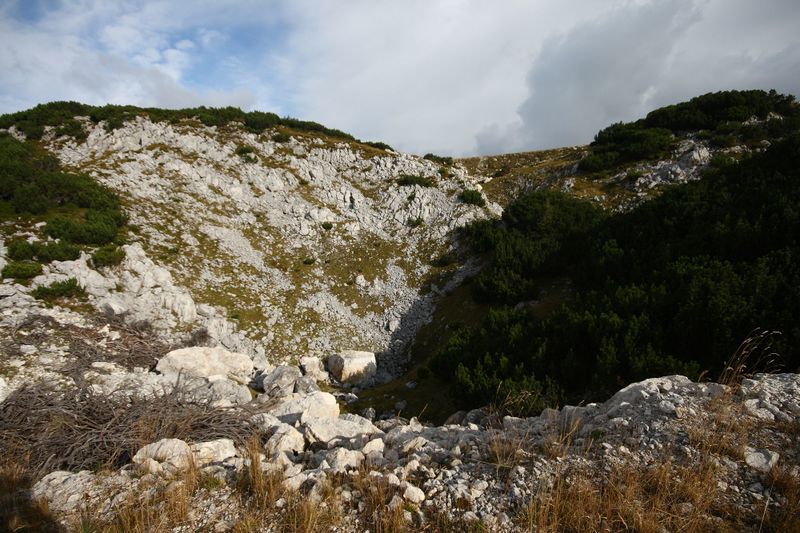 Datei:Kriemandl tauplitzalm 34713 2016-09-26.jpg