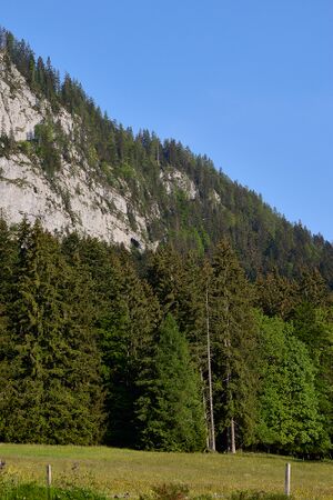 Lieglloch tauplitz-0022-2023-06-01.jpg