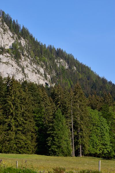 Datei:Lieglloch tauplitz-0022-2023-06-01.jpg