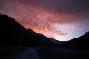 Riedlerzinken donnersbachwald 62379 2017-10-26.jpg