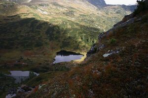 Südl nördl see vom griegelsee 80010 2014-09-16.jpg