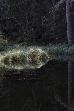 Salleitnerteich Oberhausberg 57605 2017-09-15.jpg