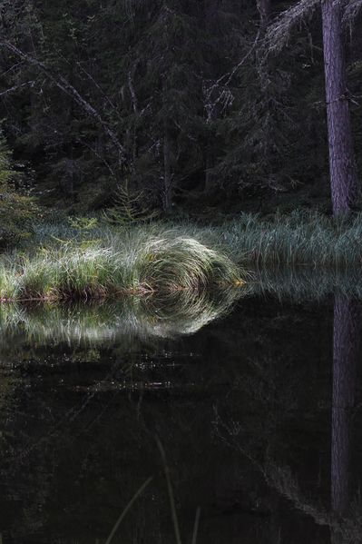 Datei:Salleitnerteich Oberhausberg 57605 2017-09-15.jpg