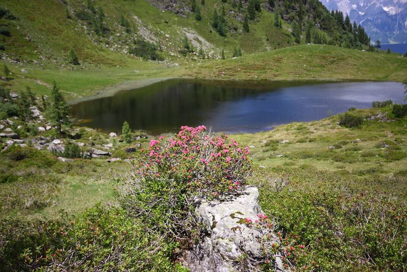 Datei:Schobersee 93167 2015-06-26.jpg