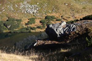 Schwarzensee-großsölk 1136 2013-09-25.jpg