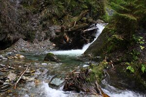 Teufelsschlucht Seewigtal 73401 2014-10-02.jpg