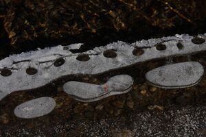 Duisitzkarsee 14337 2011-11-30.jpg