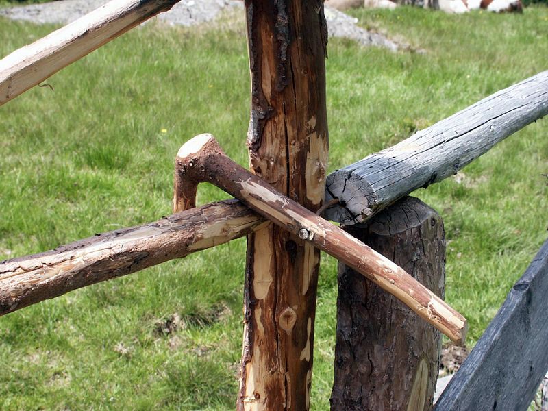 Datei:Eschachalm 0739 2002-06-13.jpg