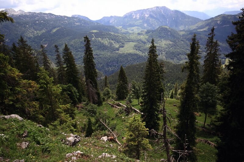 Datei:Gößler alm-402-2018-06-04.jpg