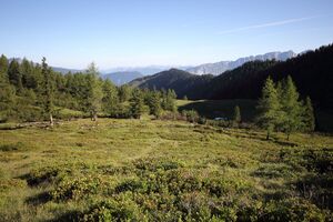 Gumpenkar 53204 2017-07-05.jpg