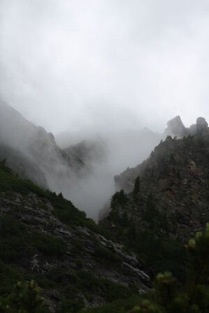 Im Wildkar 2487 2009-07-25.jpg