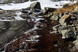 Kühkar 35323 2016-11-01.jpg