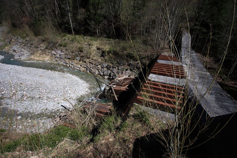 Datei:Kalte mandling009.jpg