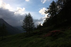 Katschtal 92599 2015-06-18.jpg