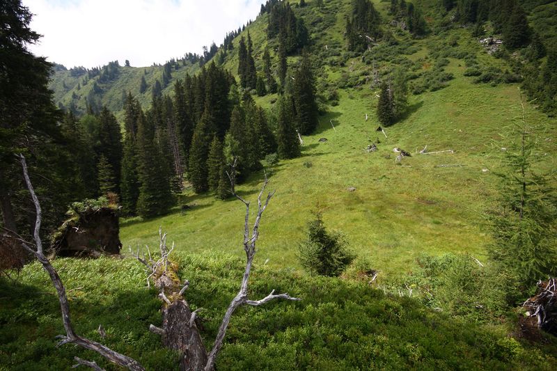 Datei:Knallkar großsölk 55644 2016-08-17.jpg