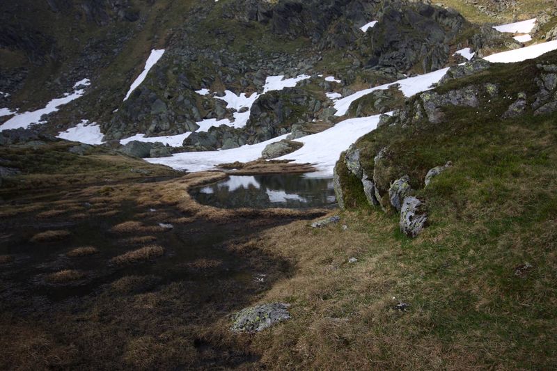 Datei:Mitt-nördlichsee-sabinkar 34176 2015-06-08.jpg