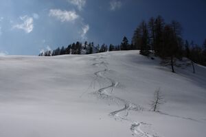 Moseralm-preunegg 82845 2015-03-15.jpg