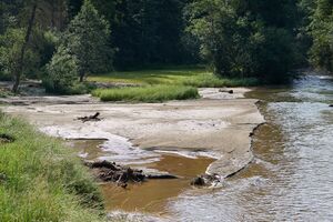 Mure Untertal-051-2026-06-30.jpg