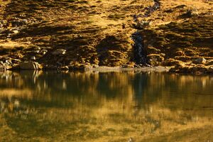 Rantensee 75038 2014-10-19.jpg