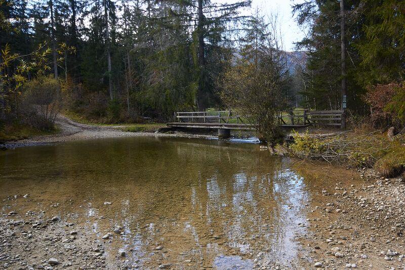 Datei:Riedlbach-traun-0247-2021-10-30.jpg