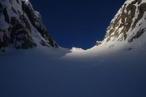 Schnabelkar 77454 2011-02-02.jpg