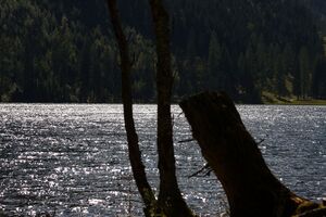 Schwarzensee kleinsölk 72587 2014-09-17.jpg